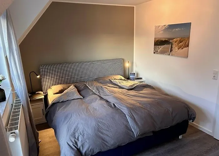 50126 Haus Deichrose